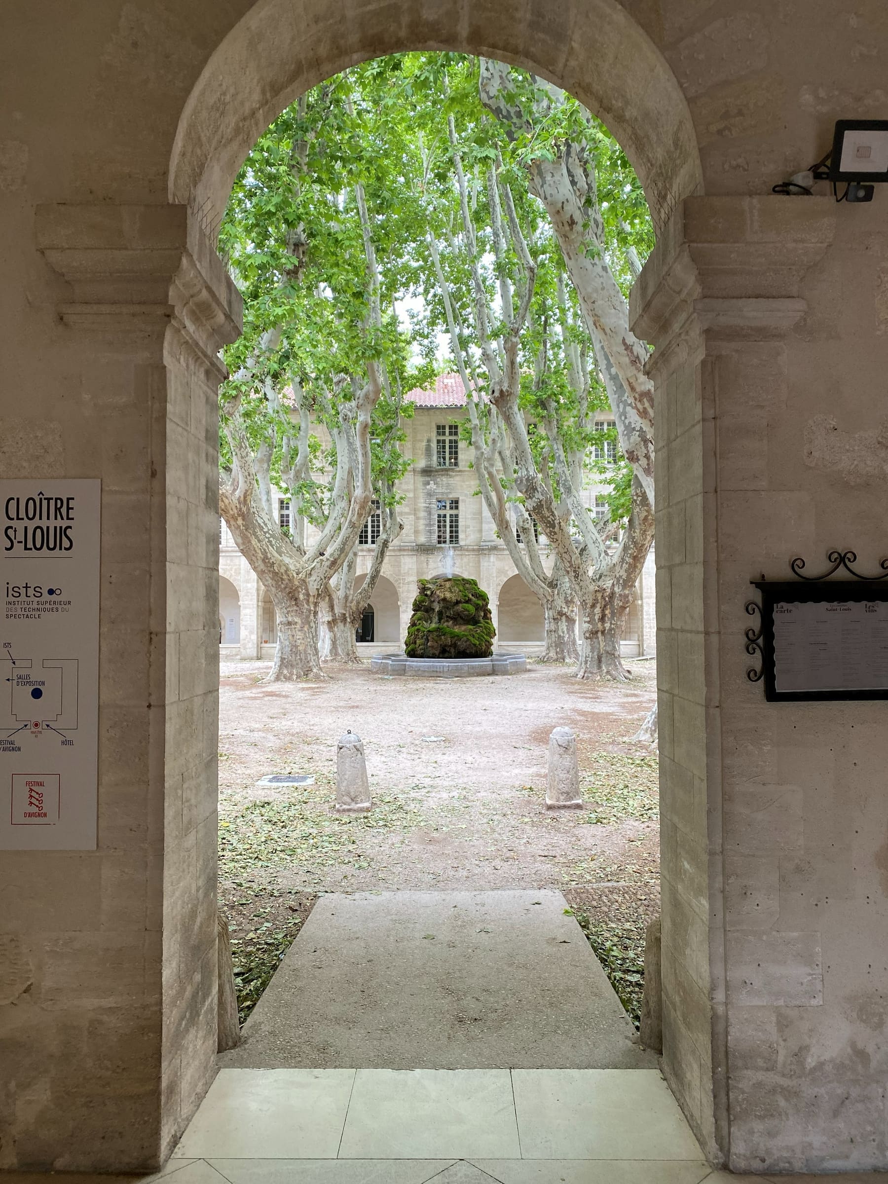 The plane-tree courtyard of the Cloître Saint-Louis in Avignon