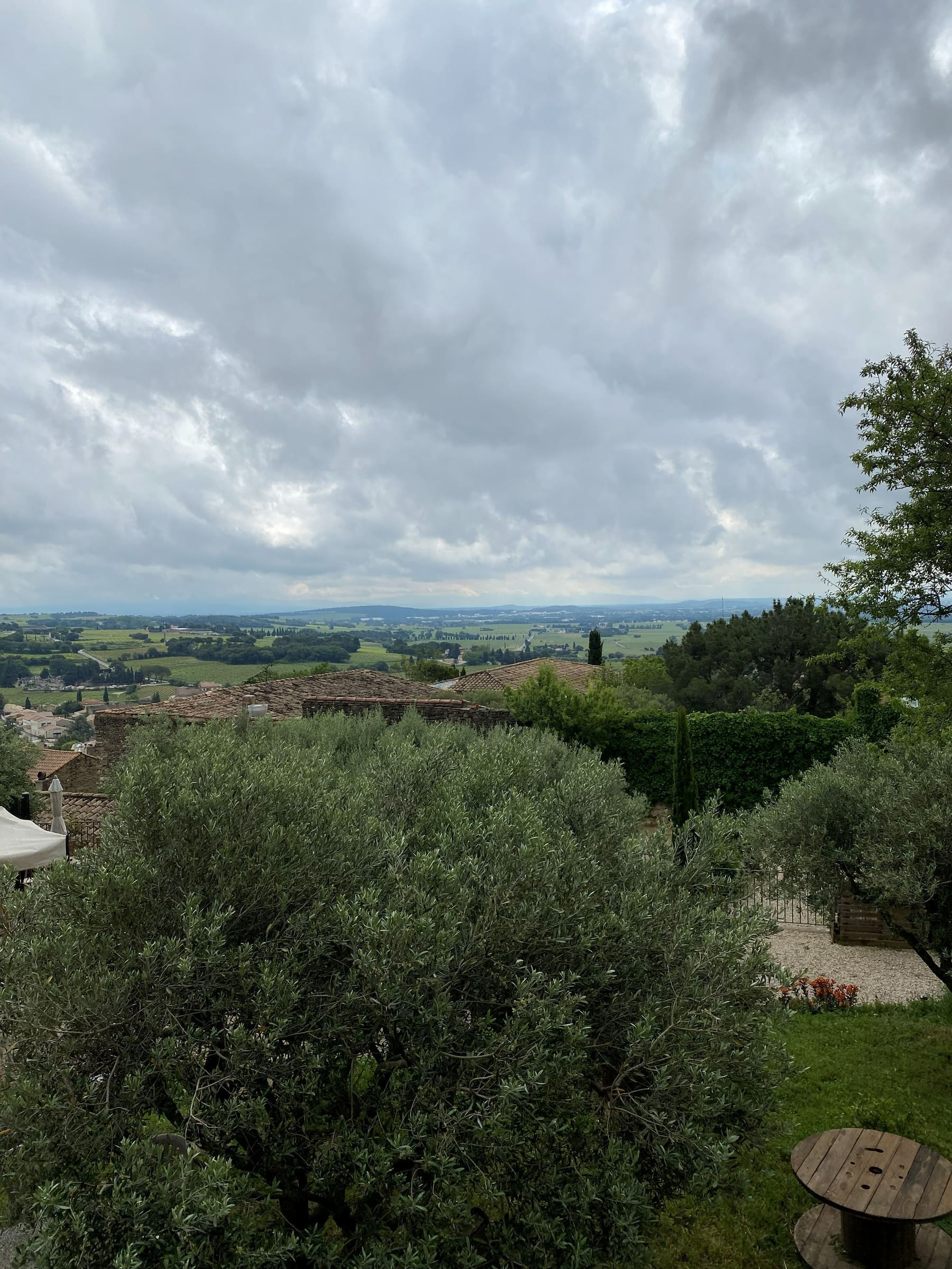 Vines and olive trees under a Provençal sky